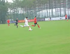 IM电竞官方网站下载-老申花球员名单97