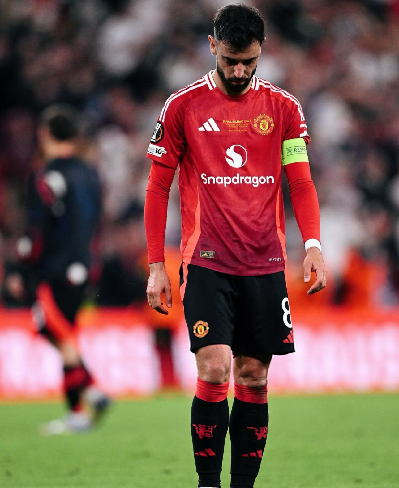 IM电竞官网-披着羊皮的狼完整mv