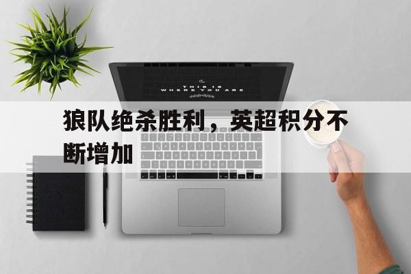 IM电竞游戏平台-英超联赛狼队